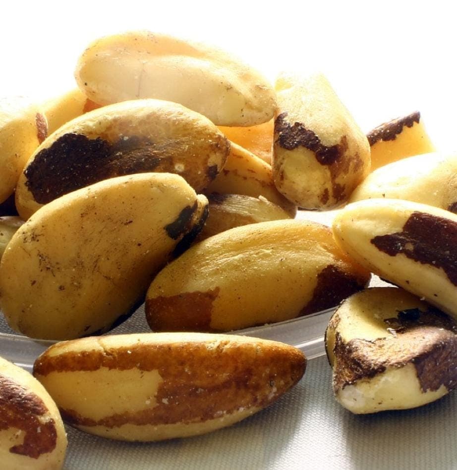 Nuez de Brasil
